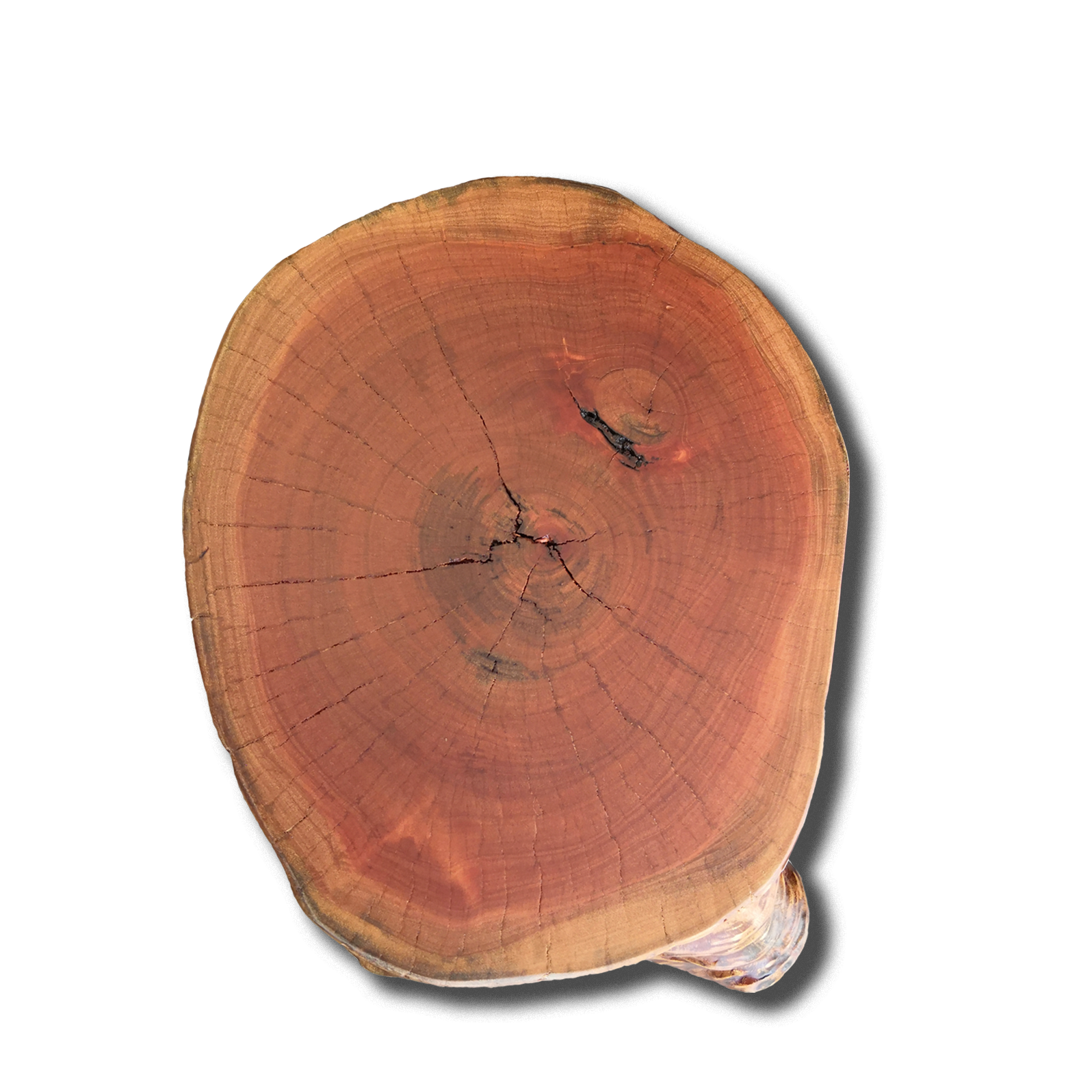 wood-log-stool-bao-wood